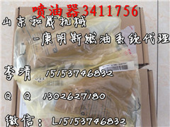 西康噴油器3411756到貨一批 ISM11發(fā)動機總成 