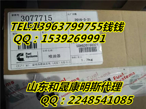 大連市康明斯發(fā)電機組KTA19【3077715噴油器】