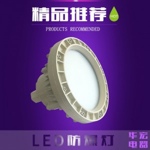 成都LED防爆燈20W 30W 24V防爆工廠燈具 生產(chǎn)產(chǎn)家