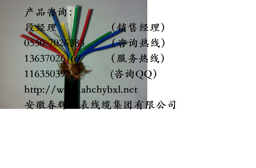 相似產(chǎn)品ZR-DJF46F46P-1*2*1.5高溫計(jì)算機(jī)屏蔽電纜