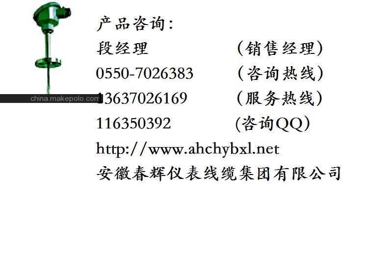 高溫高壓熱電偶 企業(yè)銷(xiāo)售網(wǎng)址