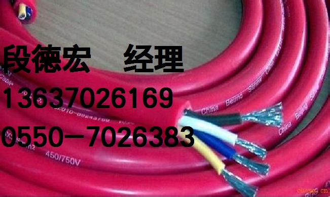 硅橡膠電纜DJGP1GP1*2*1.0 國標(biāo)產(chǎn)品/拒絕假貨