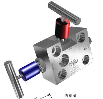 GP821212F8YL通用二閥組-直接安裝-美國HOKE閥門現(xiàn)貨