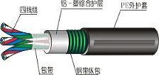 PZYA23PTYA23PTYA22PTY23鐵路信號(hào)電纜