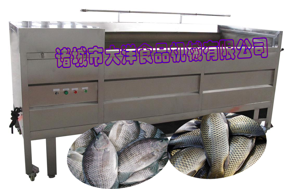 刮魚鱗機(jī)資料|電動(dòng)毛刷式去魚鱗機(jī)