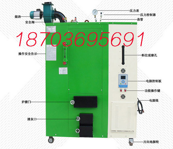 撫順100公斤生物質(zhì)蒸汽發(fā)生器