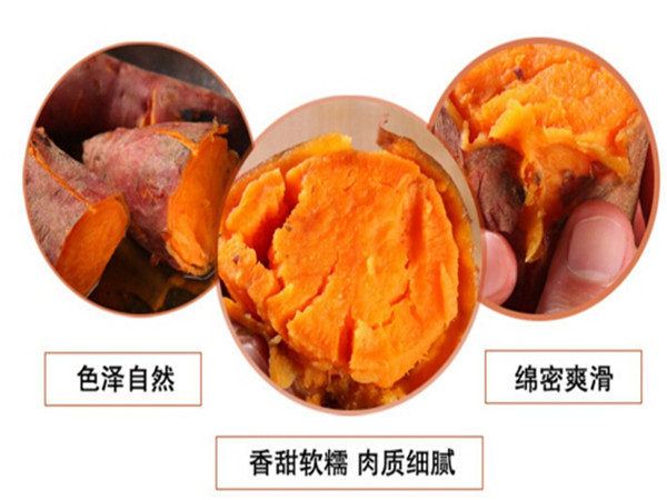 【推薦一款關(guān)于地瓜的產(chǎn)品】食品蒸房蒸煮的紅薯會更香甜粘軟好吃小建議