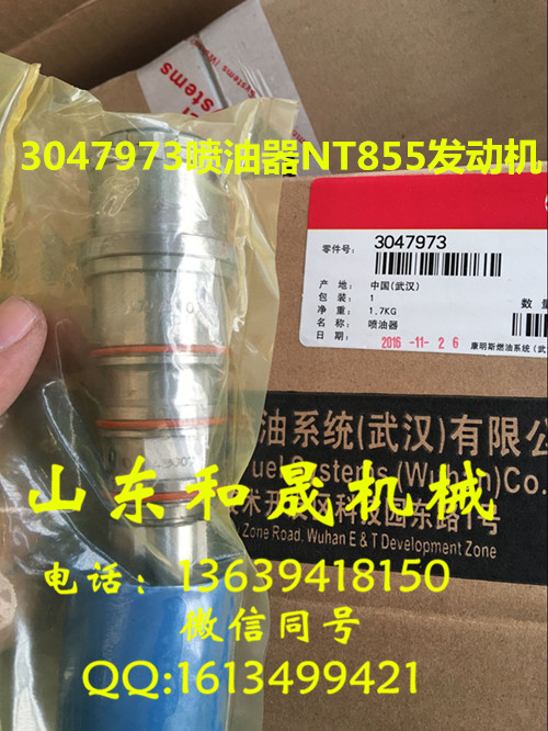 3047973康明斯NT855噴油器發(fā)電機組專用噴油器總成