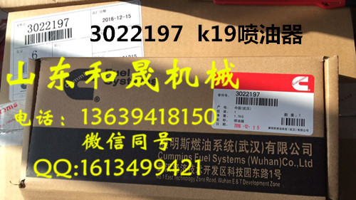 3022197噴油器 康明斯K19發(fā)電機(jī)組專用  代理直銷