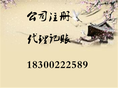 各地專業(yè)代理公司注冊(cè)和代理記賬報(bào)稅