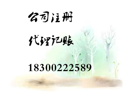 合適的價(jià)格 低價(jià)更優(yōu)惠 幫您辦理公司會(huì)計(jì)業(yè)務(wù)