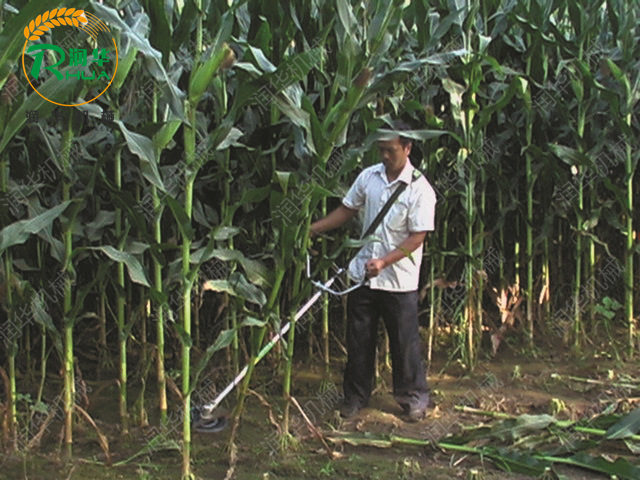 棒子稈割草機(jī) 斜稈秸稈割草機(jī)圖片