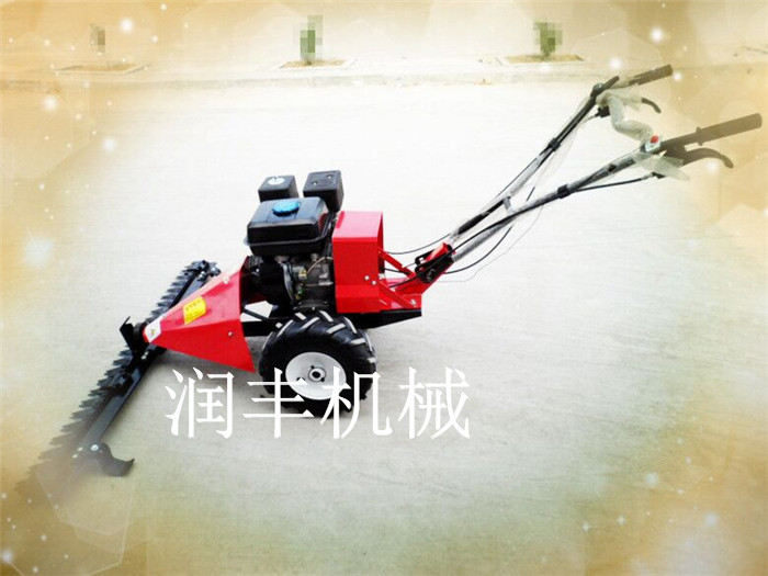 剪草機(jī) 推車(chē)式剪草機(jī) 果園剪草機(jī)報(bào)價(jià)