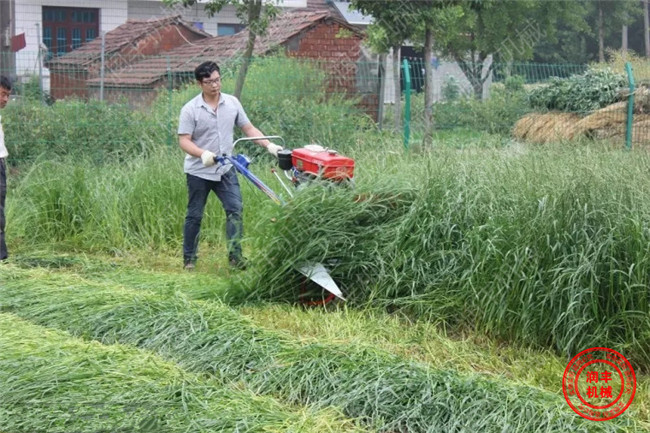 割曬機(jī)的產(chǎn)品型號(hào) 哪里的割曬機(jī)好用 勁爆上市潤(rùn)豐割曬機(jī)