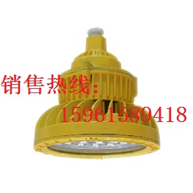 LED防爆燈廠家 RSD5088-D2LED防爆燈