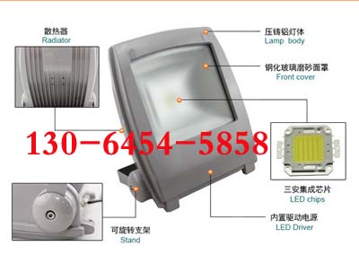 NSC9115LED免維護(hù)節(jié)能泛光燈 防眩功能