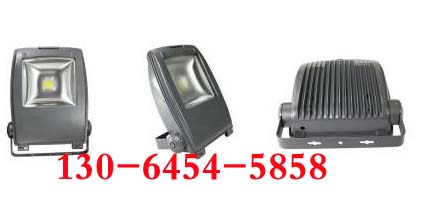 LEDѣNL202 80W