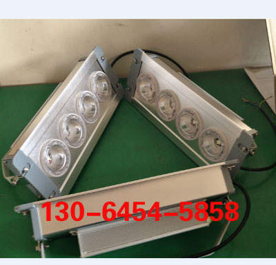 LHF2121 LHF2121免維護(hù)LED應(yīng)急頂燈