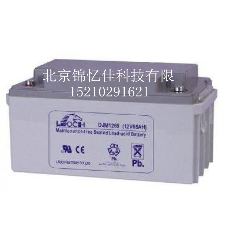 理士蓄電池DJM12-65  UPS電源儲(chǔ)能蓄電池