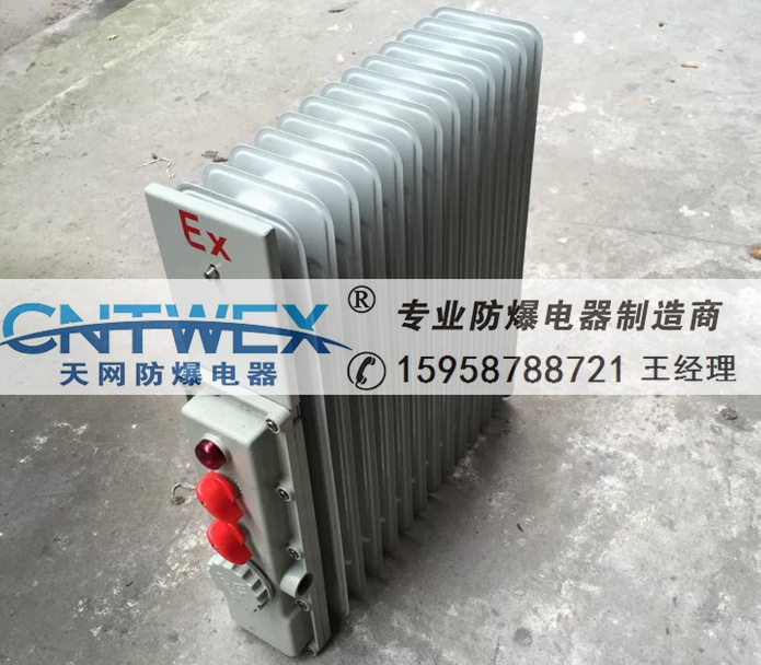 BXY工業(yè)防爆電熱油汀取暖器2000W 2KW 2500W 3KW