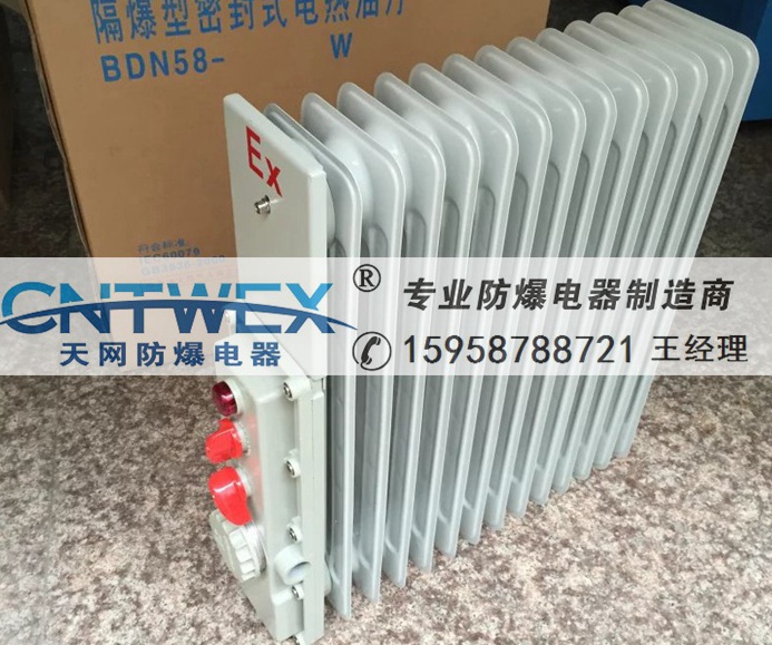 工業(yè)防爆油汀 防爆電熱密閉式油汀BDR-11Y/220V11片