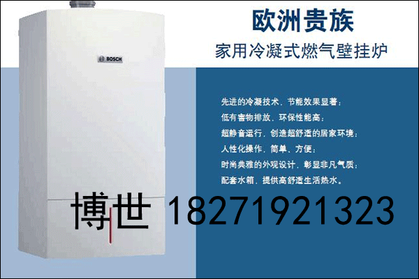 武漢博世歐洲之星銷售、武漢德國博世歐洲之星24KW銷售