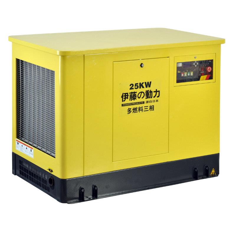 20Kw雙燃料汽油發(fā)電機(jī)價(jià)格