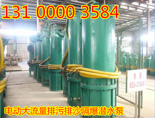 白銀天水BQS80-20×10-90/SBQS高揚(yáng)程排沙潛水電泵