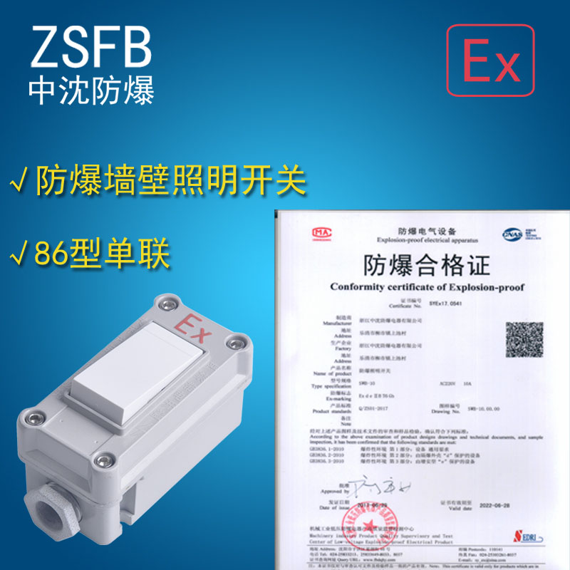 防爆墻壁照明開(kāi)關(guān)SWB-10A/220V 單聯(lián)雙聯(lián)一開(kāi)二開(kāi)86型廠用防爆開(kāi)關(guān)