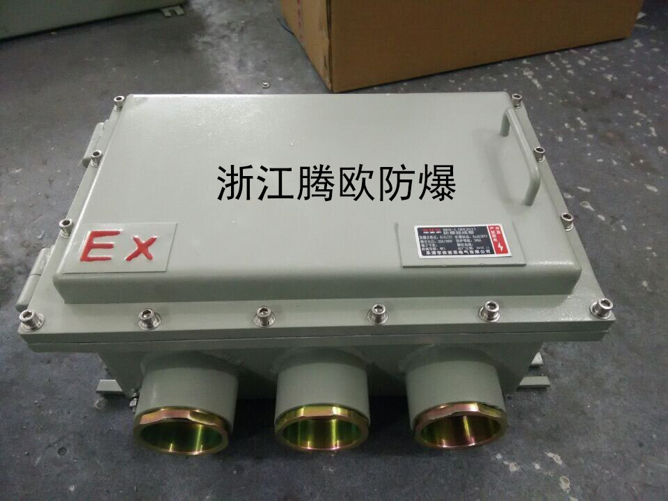 ejx-e防爆接線箱端子箱防爆分線箱防爆電源箱定做