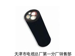 YCW電纜廠家YZW中型橡套電纜規(guī)格