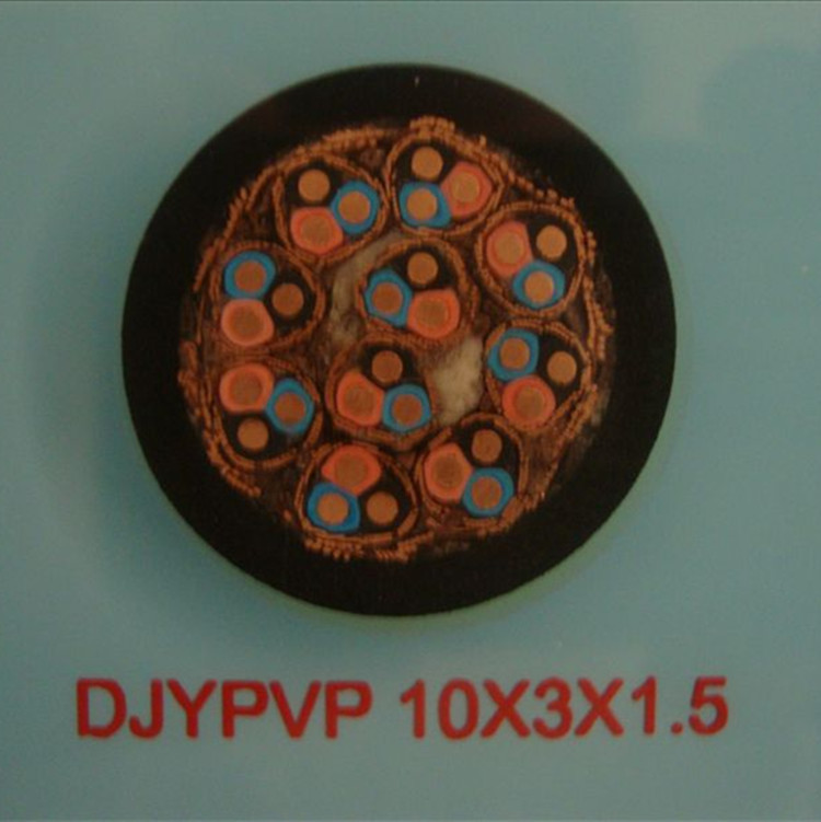 ZR-DJYVPVP-22-2X2X1計(jì)算機(jī)用屏蔽電纜產(chǎn)品新聞