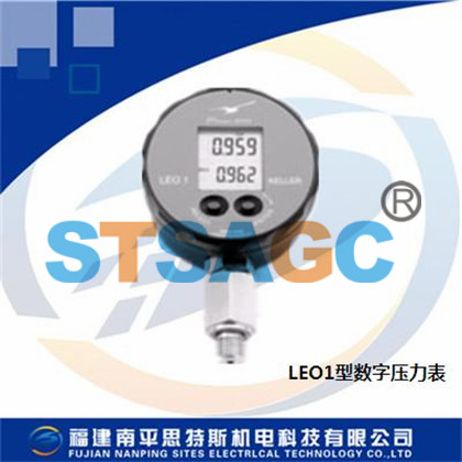 數(shù)字壓力測量儀表LEO1型數(shù)字壓力表