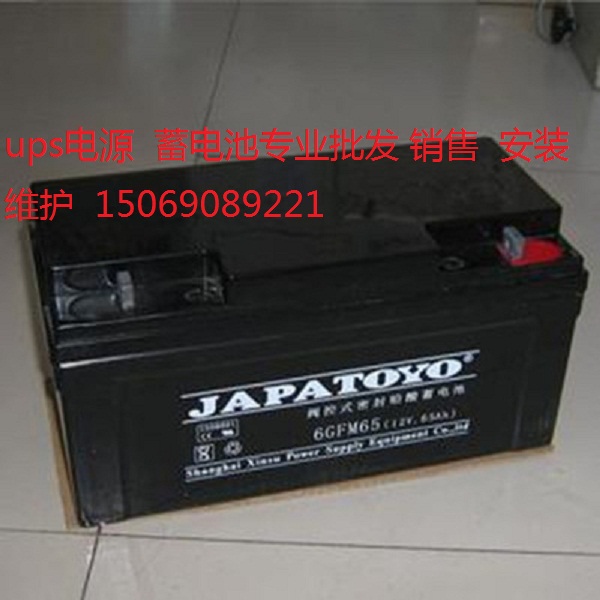 ups電源免維護(hù)蓄電池6FM17東洋蓄電池JAPATOYO12V17AH