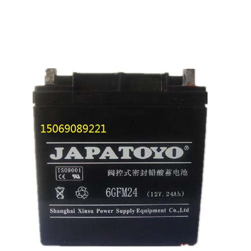 ups電源免維護(hù)蓄電池6GFM24東洋蓄電池JAPATOYO12V24AH