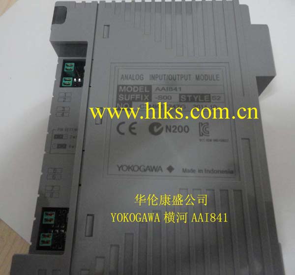 Yokogawa AAI841 - S50 output module