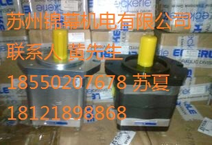 EIPH2-005RK03-10德國ECKERLE艾可勒齒輪泵，油冷電機