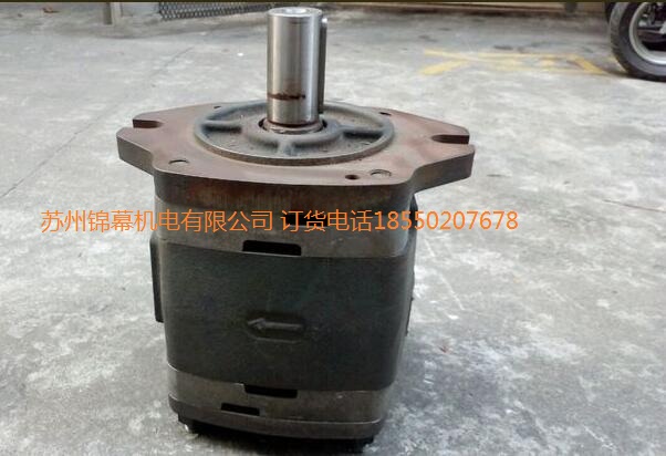 IPVP6-100-101德國VOITH 福伊特齒輪泵，Sensors振動傳感器