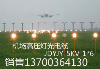 陜西機(jī)場(chǎng)通訊電纜TPYV22國(guó)標(biāo)生產(chǎn)，