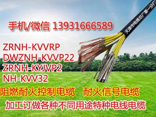 廣東專用變頻電纜YJVPBP價(jià)格