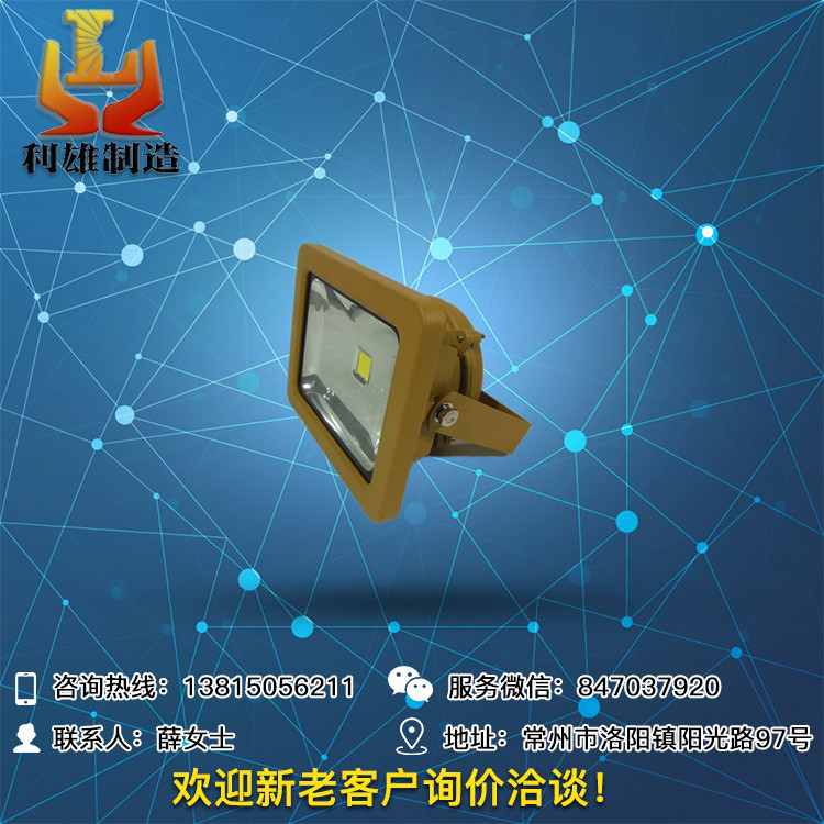 LED防爆投光燈50W60W防爆投光燈廠(chǎng)家價(jià)格BFC8188D