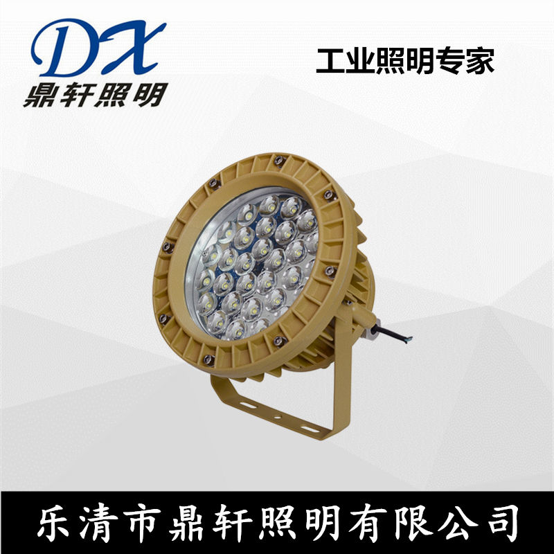 溫州廠家BLD110/BLD120/BLD130LED防爆燈