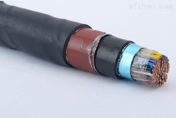 阻燃電纜ZRA-DJYP2VP2-12*2*0.75自動化機械用