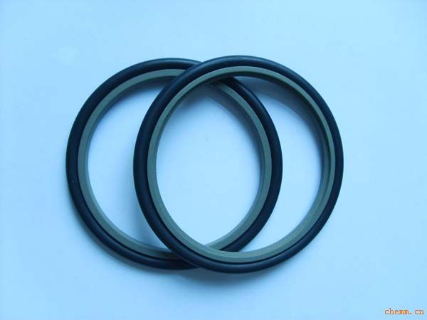 進(jìn)口斯特封（Step Seal）