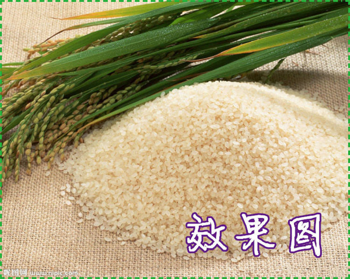 稻谷雜糧碾米機(jī) 大產(chǎn)量谷子脫皮機(jī)