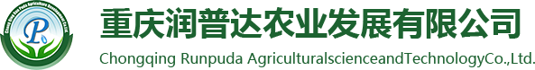 潤(rùn)普達(dá)農(nóng)業(yè)教你建造溫室大棚的前期工作準(zhǔn)備