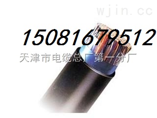 供應(yīng)ZR-KVVP2 4*1.5 交聯(lián)控制電纜