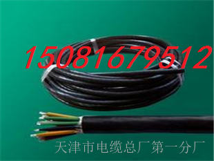 DJYP2YP2 3*2*1.0計(jì)算機(jī)電纜最新價(jià)格