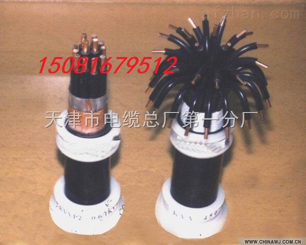 光伏接地線BVR1.5平方國(guó)標(biāo)線長(zhǎng)15cm