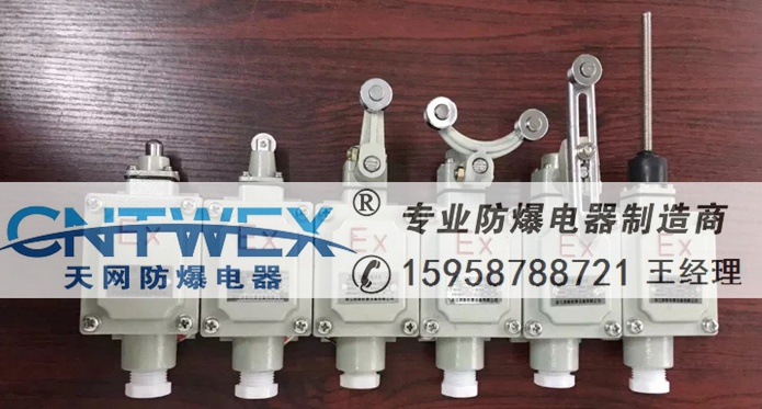 BZX8077防爆行程開關(guān)IIBIP65 鋼鐵廠/金屬制品廠/冶金廠